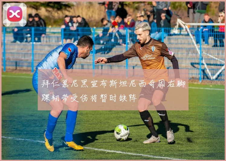 拜仁慕尼黑宣布斯坦尼西奇因右脚踝韧带受伤将暂时缺阵